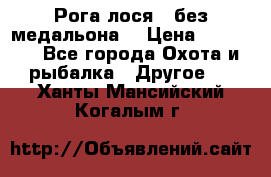 Рога лося , без медальона. › Цена ­ 15 000 - Все города Охота и рыбалка » Другое   . Ханты-Мансийский,Когалым г.